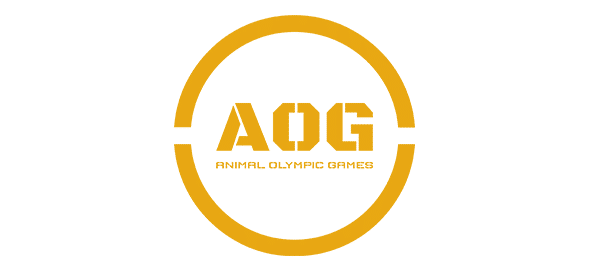 AOG Casino API Provider Jaipur & Global
